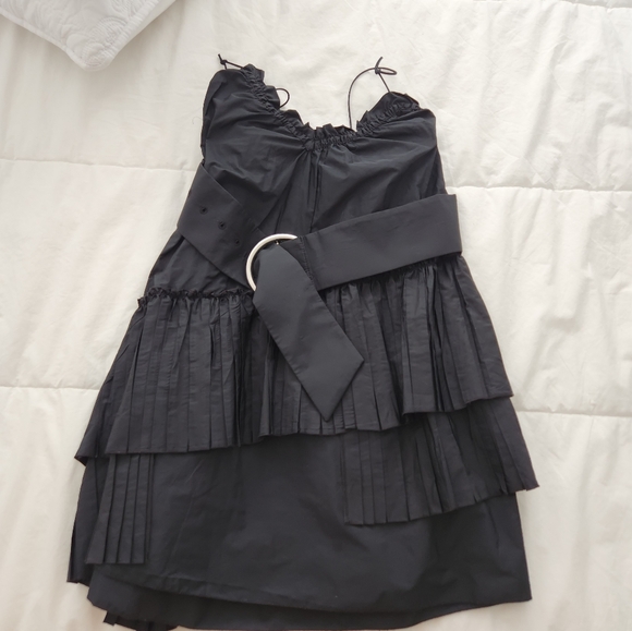 Zara Special Edition Mini Dress - Picture 15 of 16